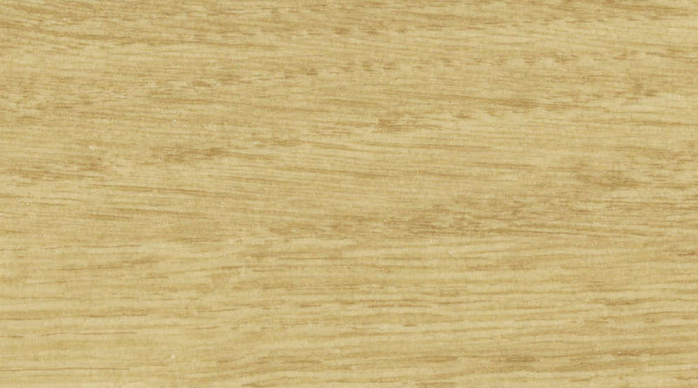 0024 Renzo Chamois