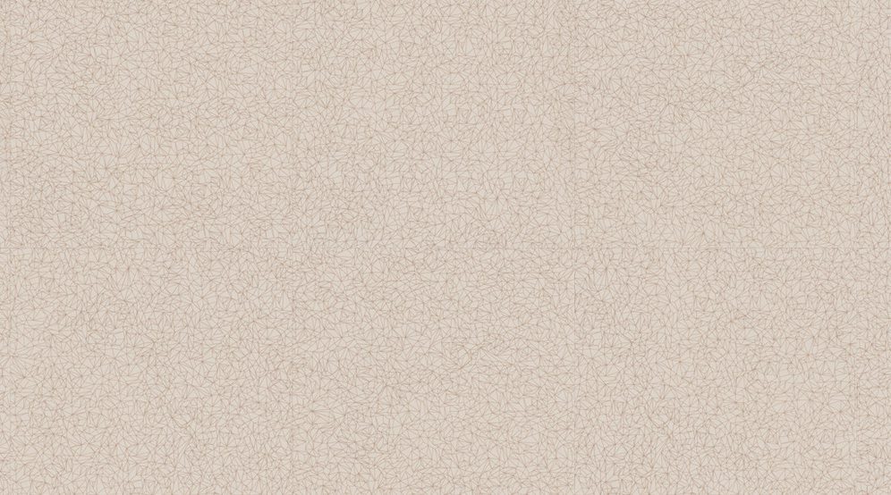 0033 Spider Beige