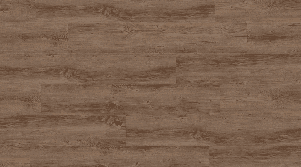 0359 Wild Oak