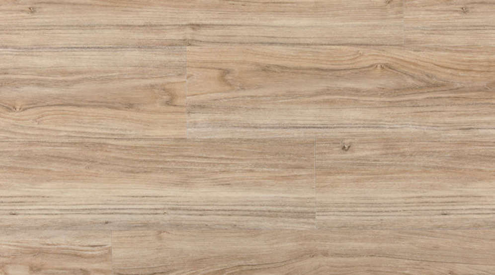 0385 Tallow Wood