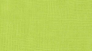 0515 Kiwi