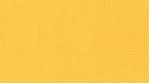 0596 Mimosa