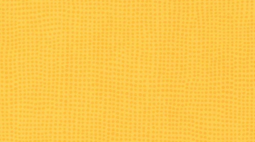 0596 Mimosa