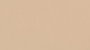 0833 Beige