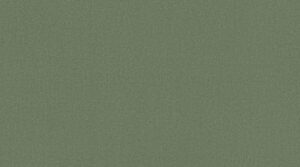 0842 Olive