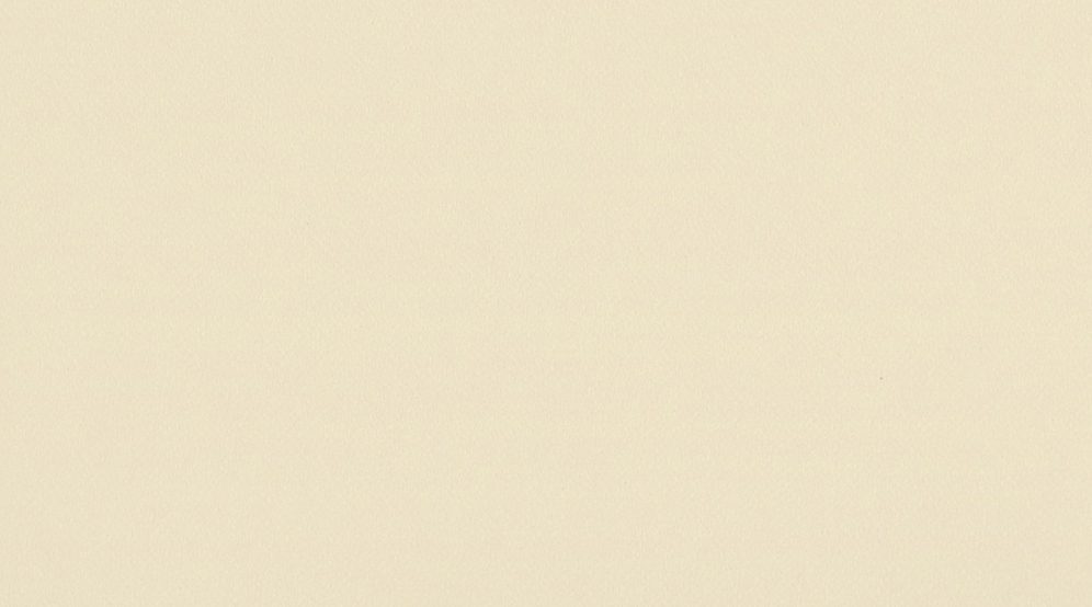 0848 White