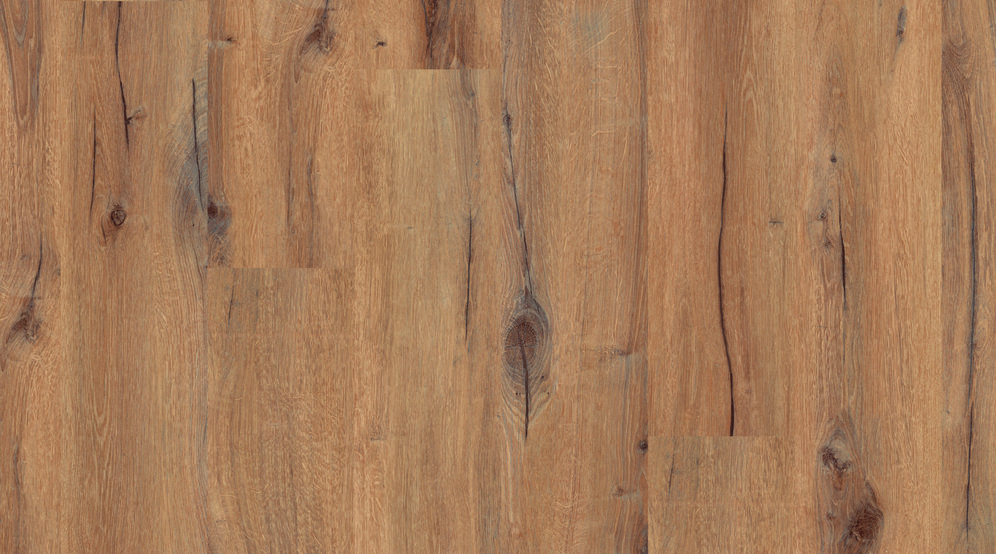 1010 Daintree Brown