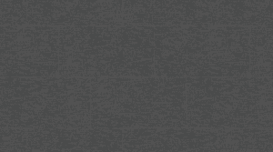 1058 Gentleman Grey