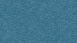 1081 Gentleman Indigo