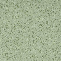 12.4407 Spearmint