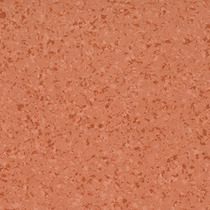 2.4435 Butternut
