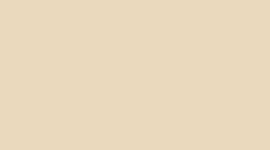 3004 Beige