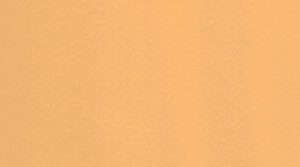 4116 Apricot