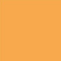 4206 Orange