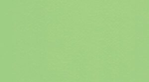4525 Lime