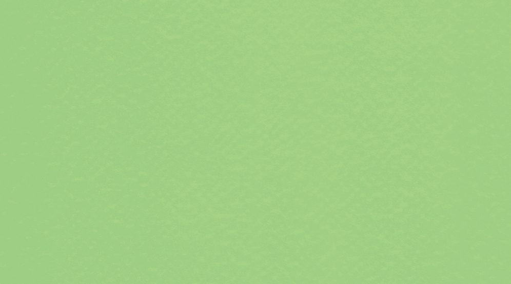 4525 Lime