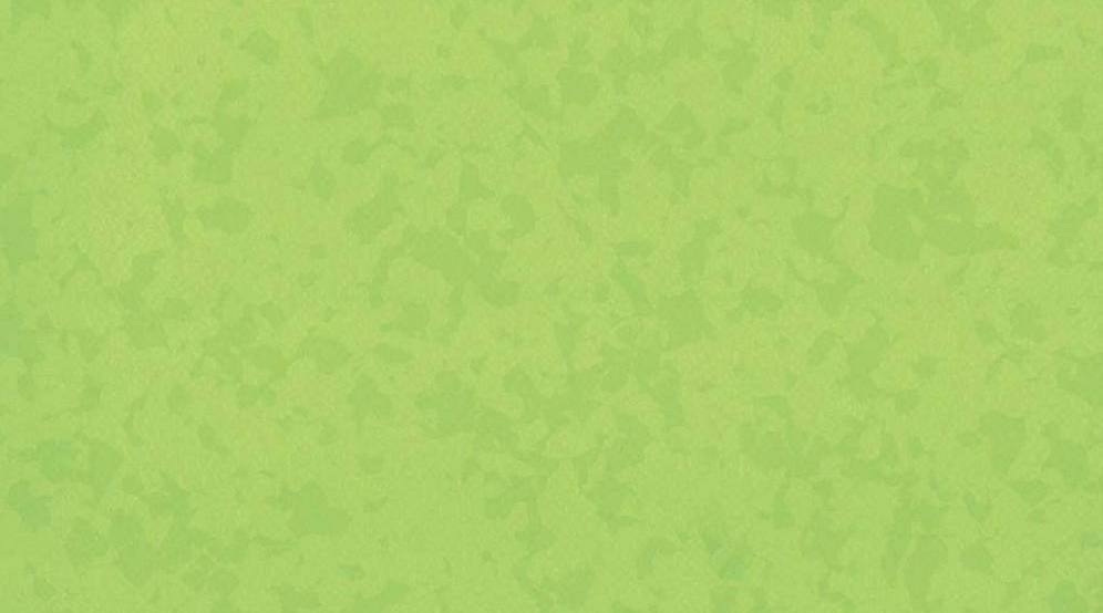 4527 Bamboo