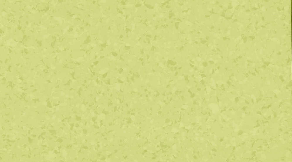 6027 Acacia