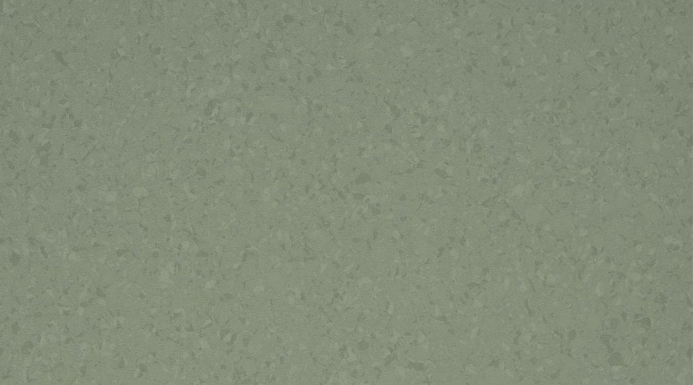 6067 Kaki