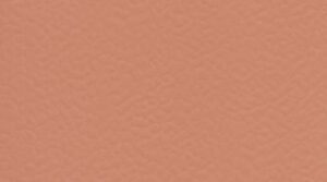 6146 Coral