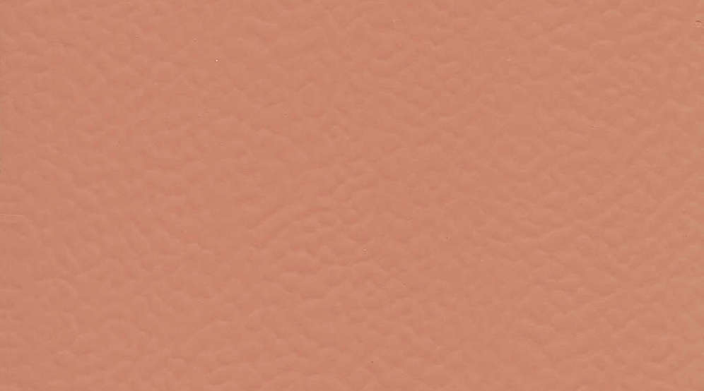 6146 Coral