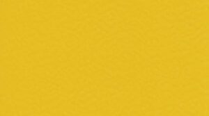 6211 Gold