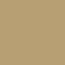 6281 Beige
