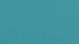 6431 Teal