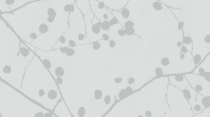 7006 Haze Pearl