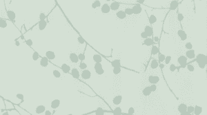 7007 Lichen