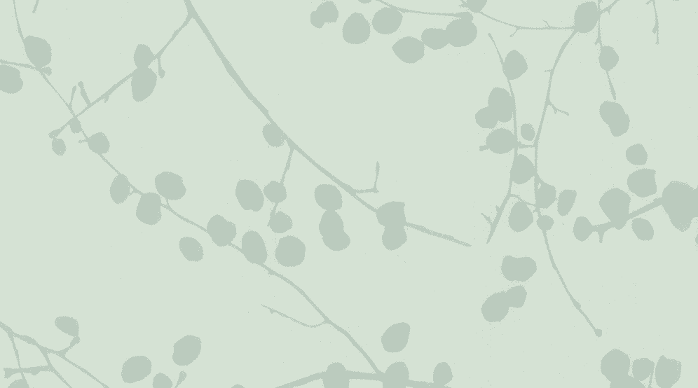 7007 Lichen
