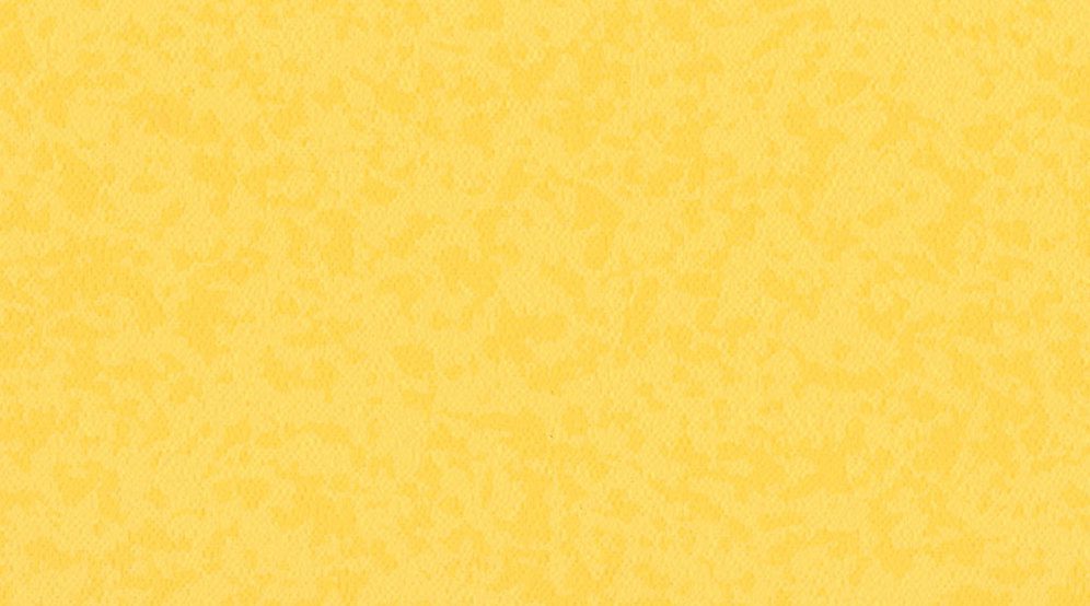 7204 Mimosa