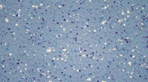 7413 Ocean Blue