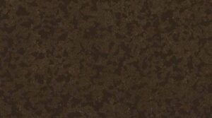 8073 Cocoa