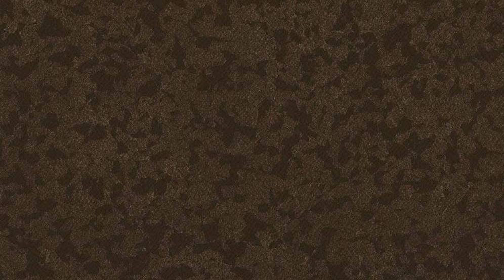 8073 Cocoa