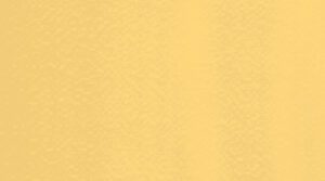 8253 Lemon