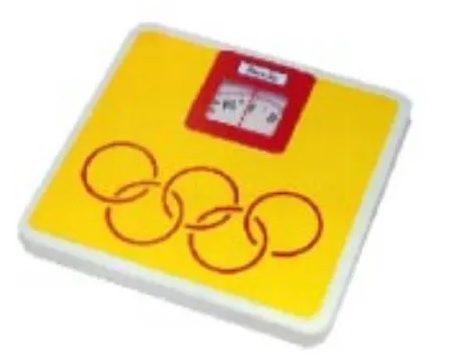 Bathroom scale