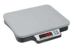 Digital Weighing Scale with Mother and Child Function