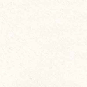 T210905NA TROPIC SUPER WHITE