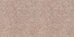 T213703NA TROPIC BRONZE