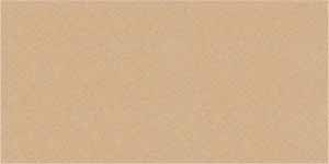 T310527NA CREST MINK