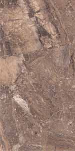 T313041NA WEB BROWN