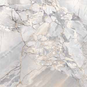 T315041NA SHELL GREY