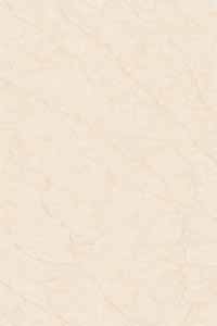 T317026NA GOLD VEIN