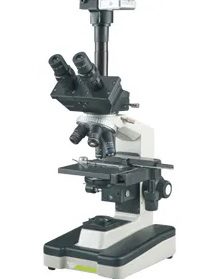 Trinocular Microscope