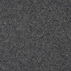 49 Speckle Rock