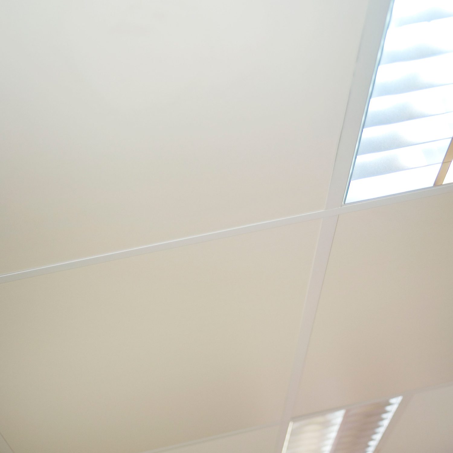 Freshtone™ Ceiling Tiles
