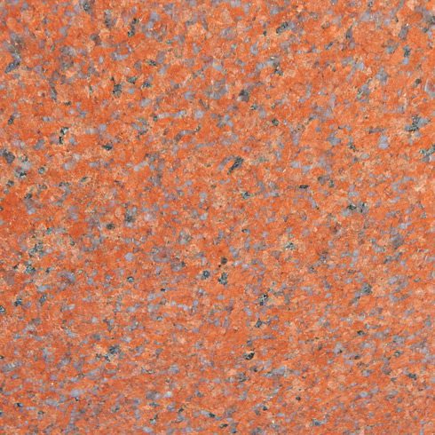 Jhansi Red