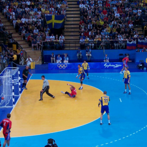 Taraflex Performance