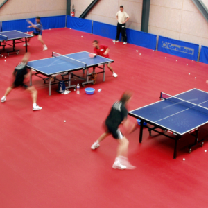 Taraflex Table Tennis